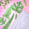 Tropical Leaves Mould