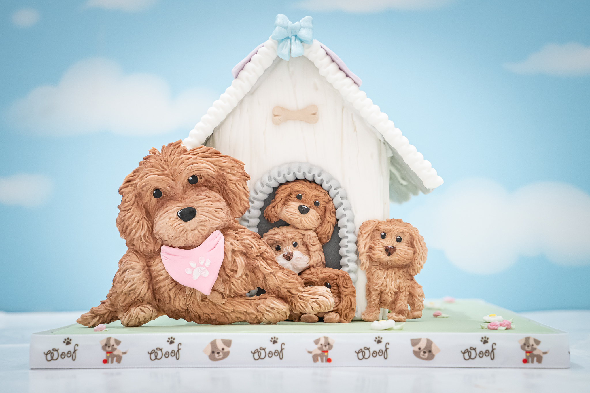 Cockapoo Silicone Mould