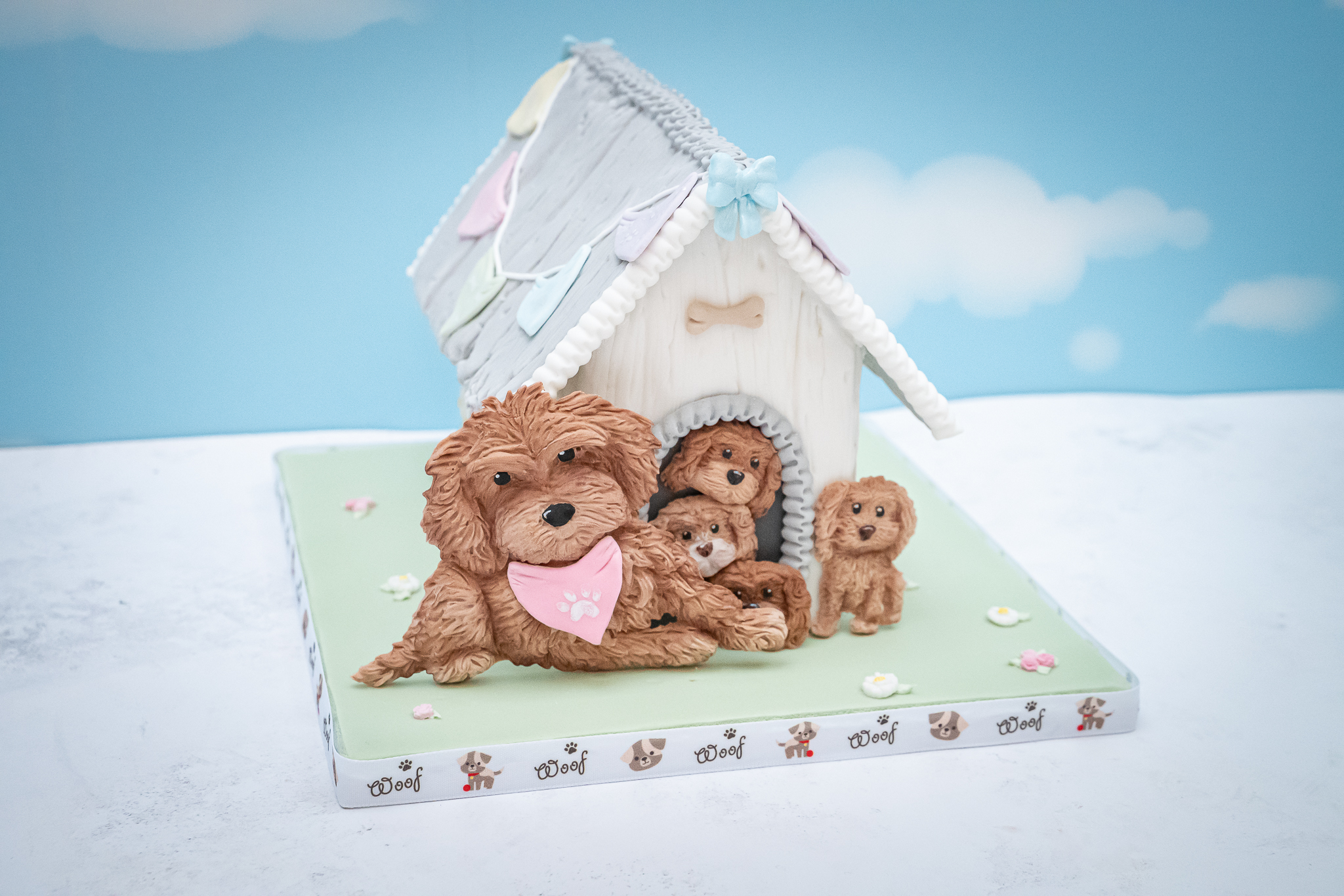 Cockapoo Silicone Mould