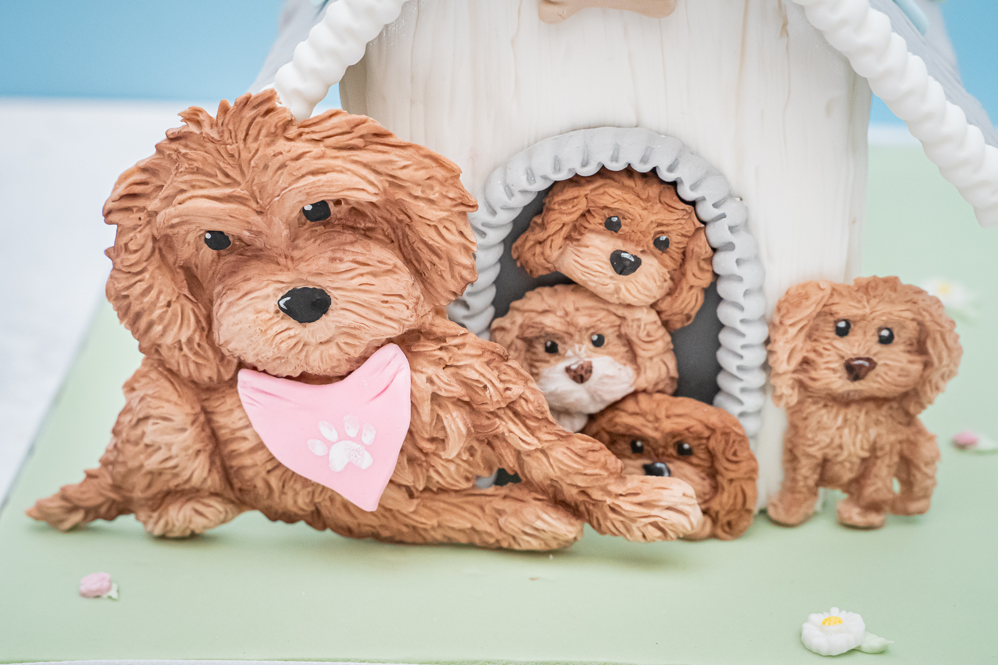 Cockapoo Silicone Mould