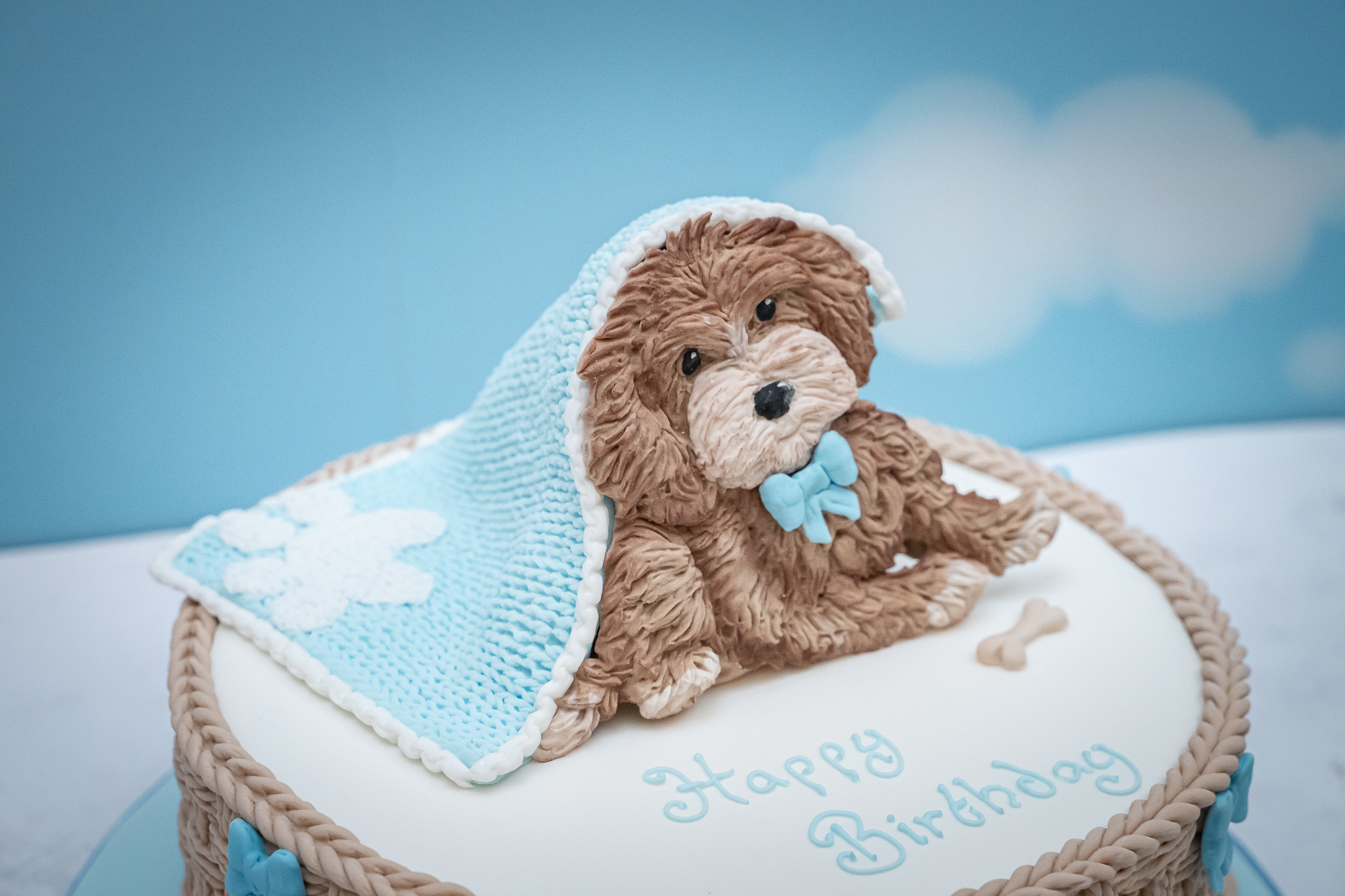 Cockapoo Silicone Mould