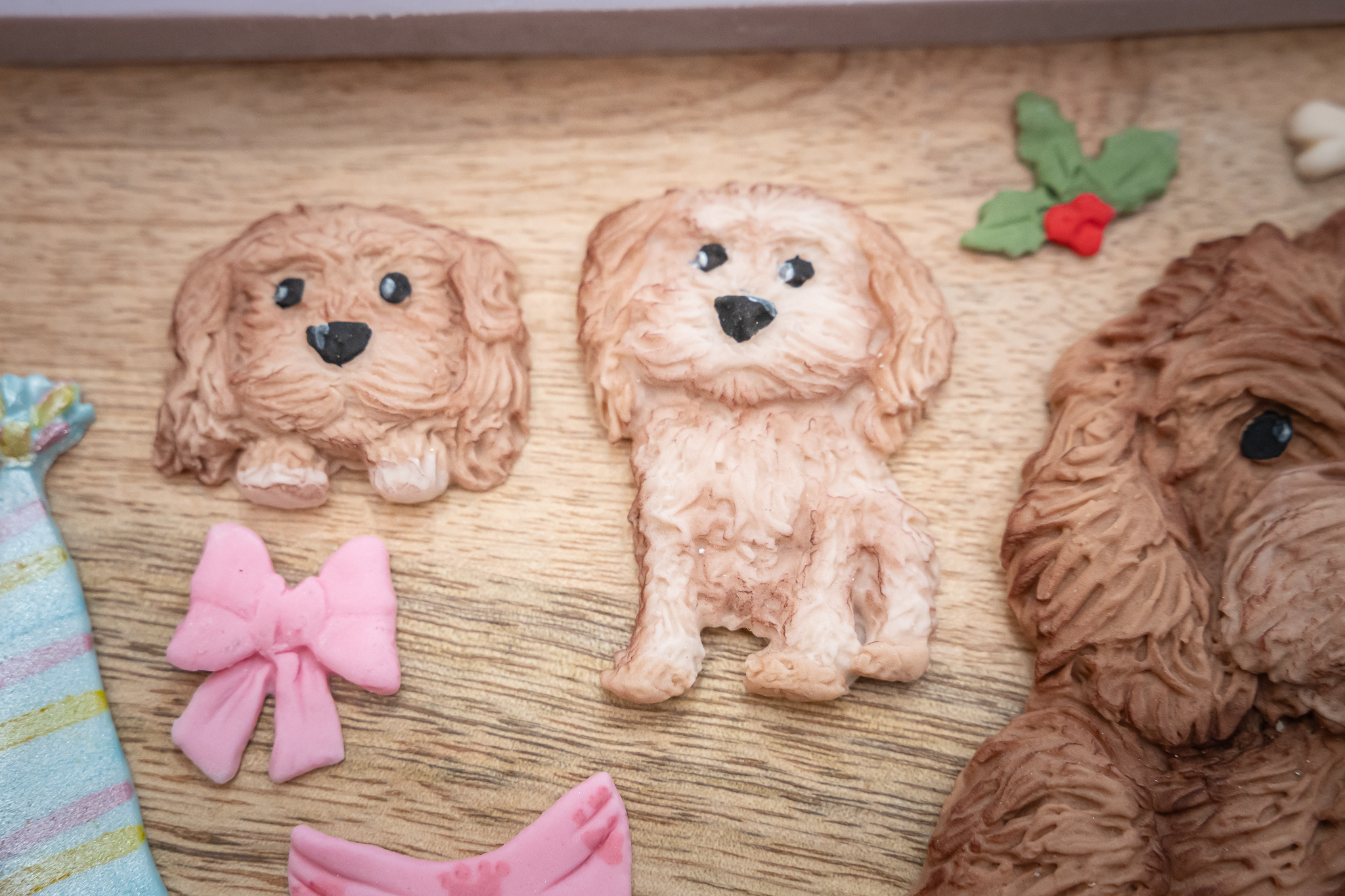 Cockapoo Silicone Mould