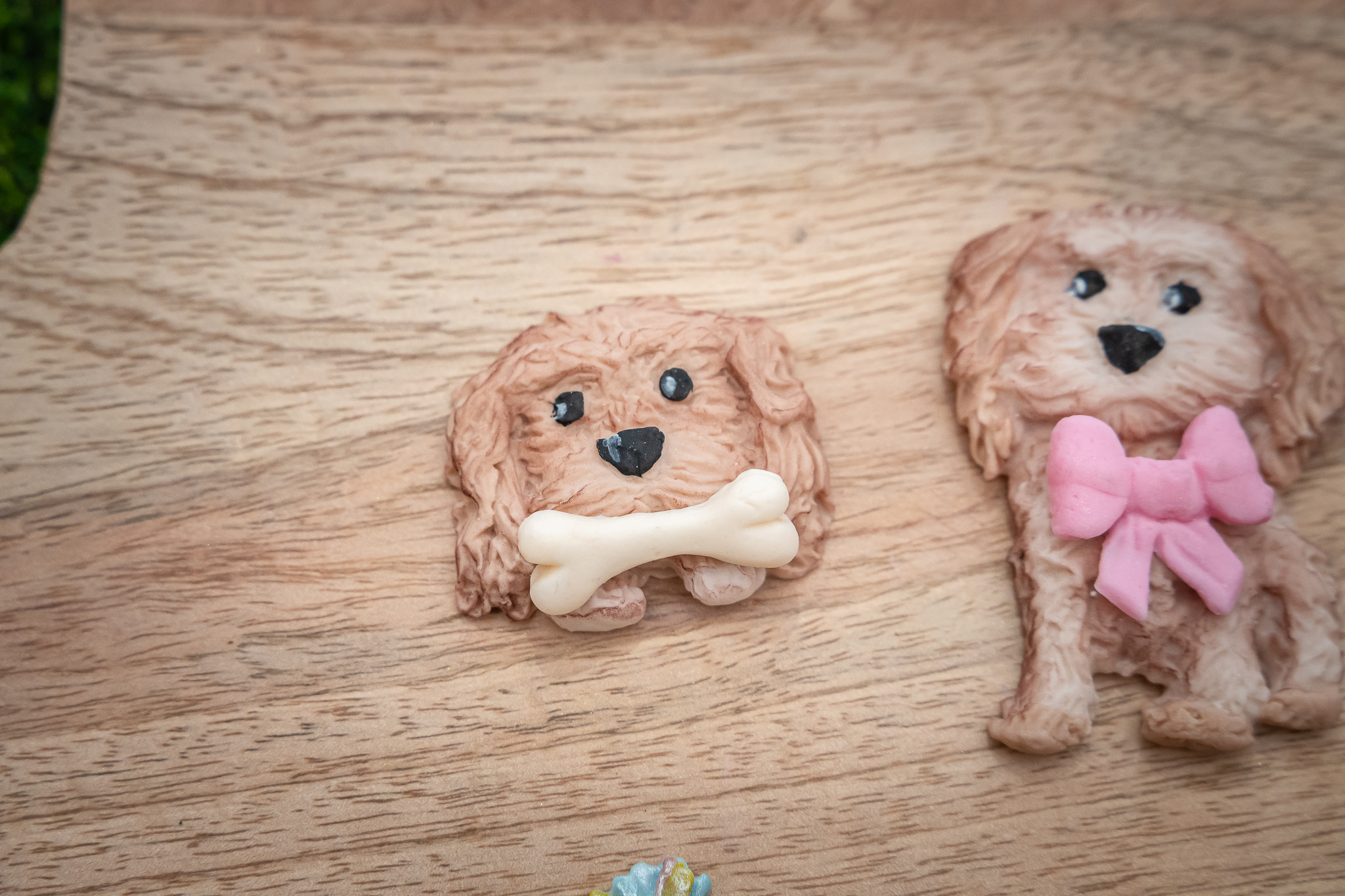 Cockapoo Silicone Mould