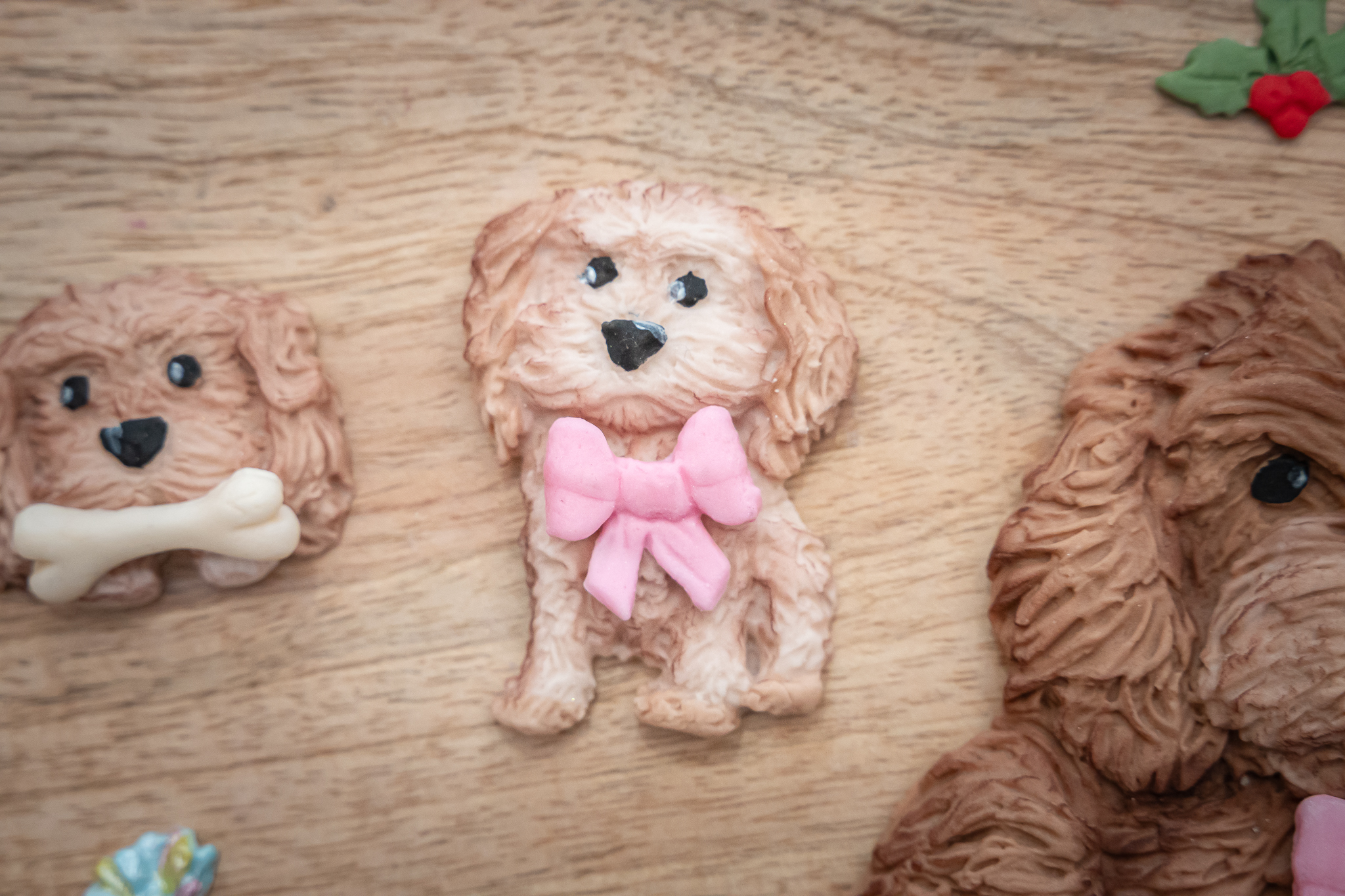 Cockapoo Silicone Mould