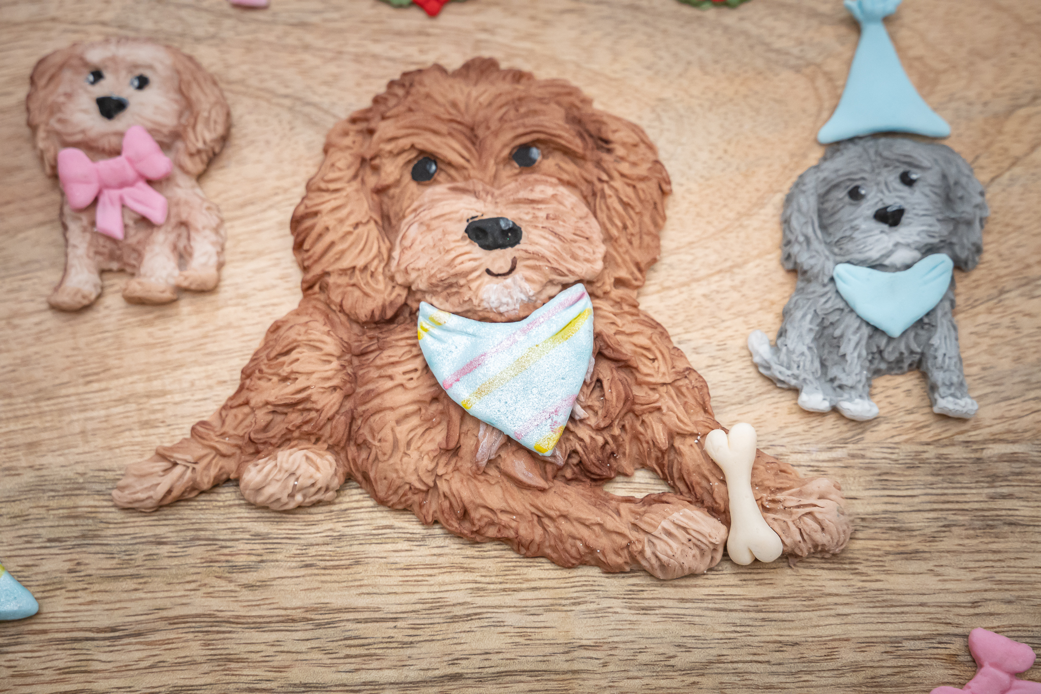 Cockapoo Silicone Mould