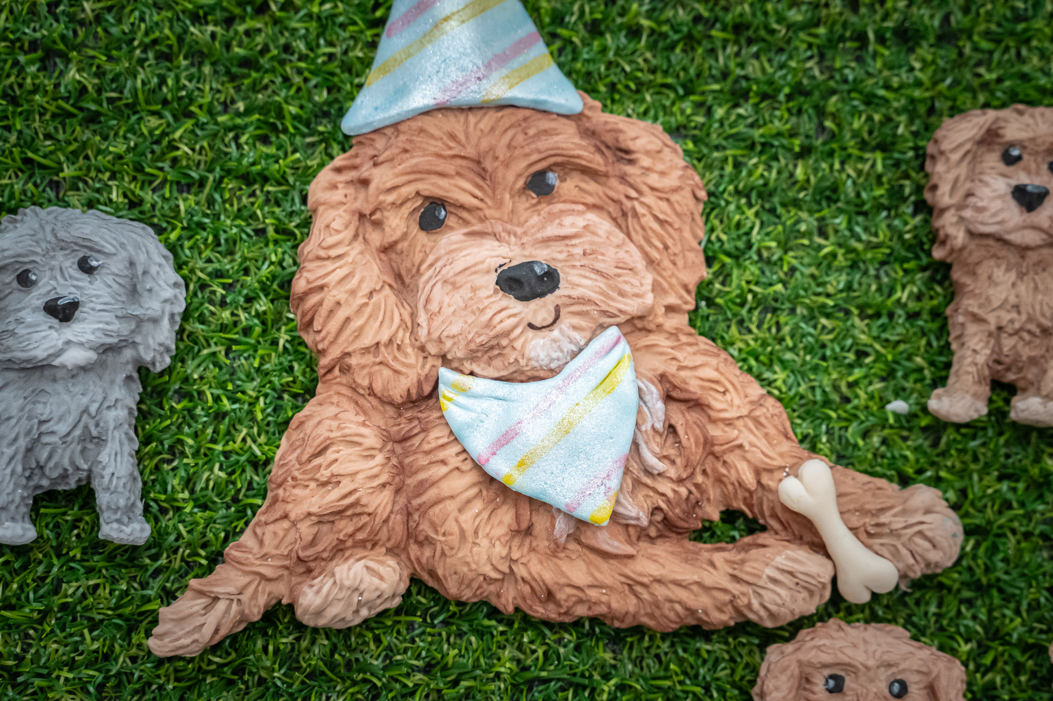 Cockapoo Silicone Mould - Image 7