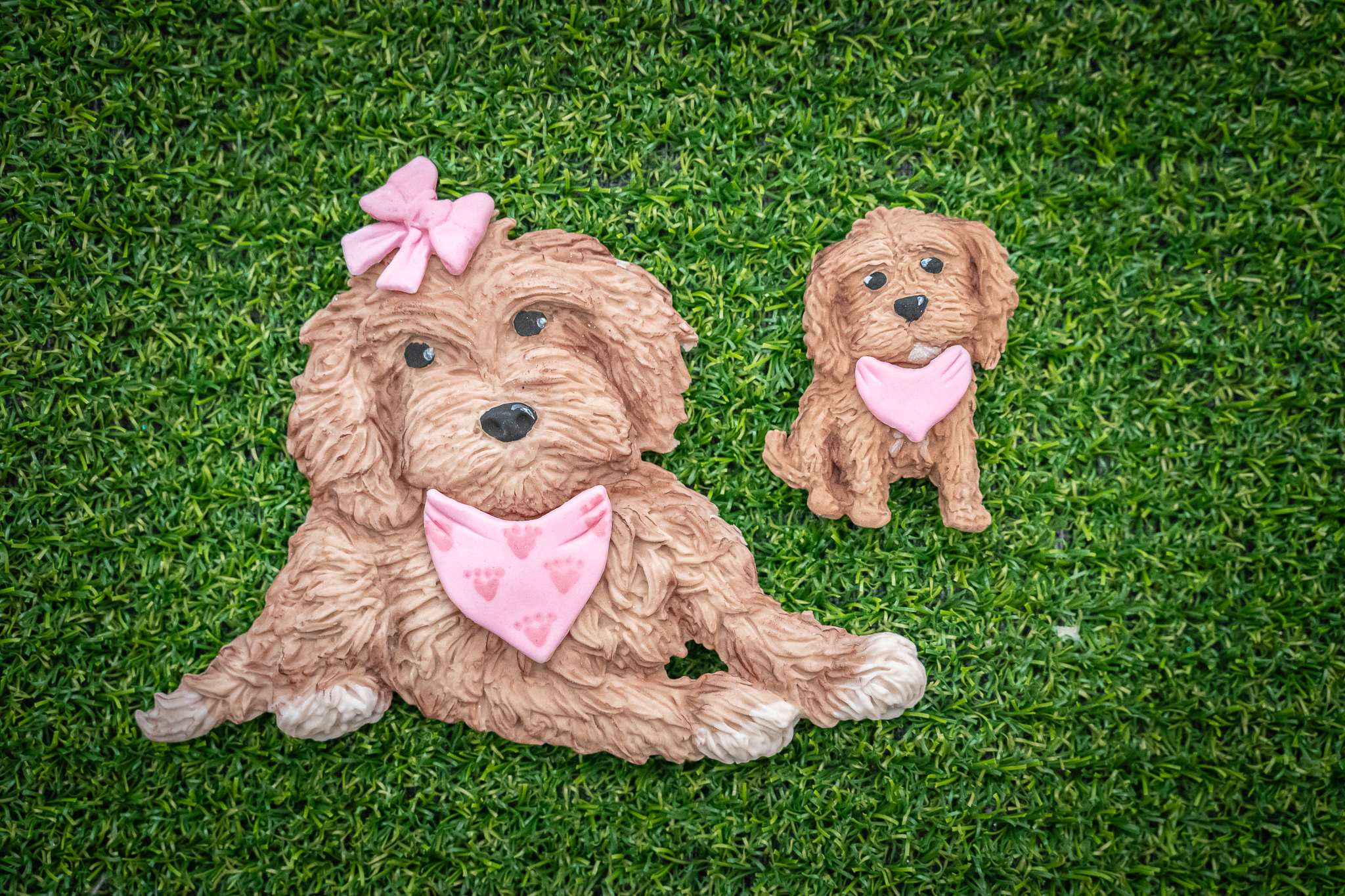 Cockapoo Silicone Mould - Image 6