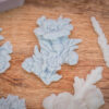 Floral Essentials Silicone Mould