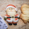 Santa Claus Silicone Mould