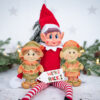 Christmas Elves Silicone Mould