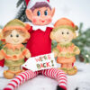 Christmas Elves Silicone Mould