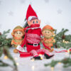 Christmas Elves Silicone Mould