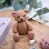 Build A Teddy Silicone Mould