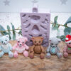 Build A Teddy Silicone Mould