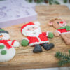 Knitted Christmas Silicone Mould