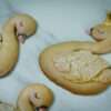 Swan Cookie Silicone Mould