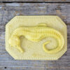 Seaside Accessories Silicone Mould