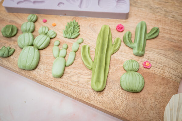 Cactus Garden Silicone Mould Cactus Garden Silicone Mould