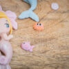 Mermaids Silicone Mould