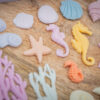 Under The Sea Silicone Mould