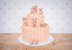 Build A Teddy Mould