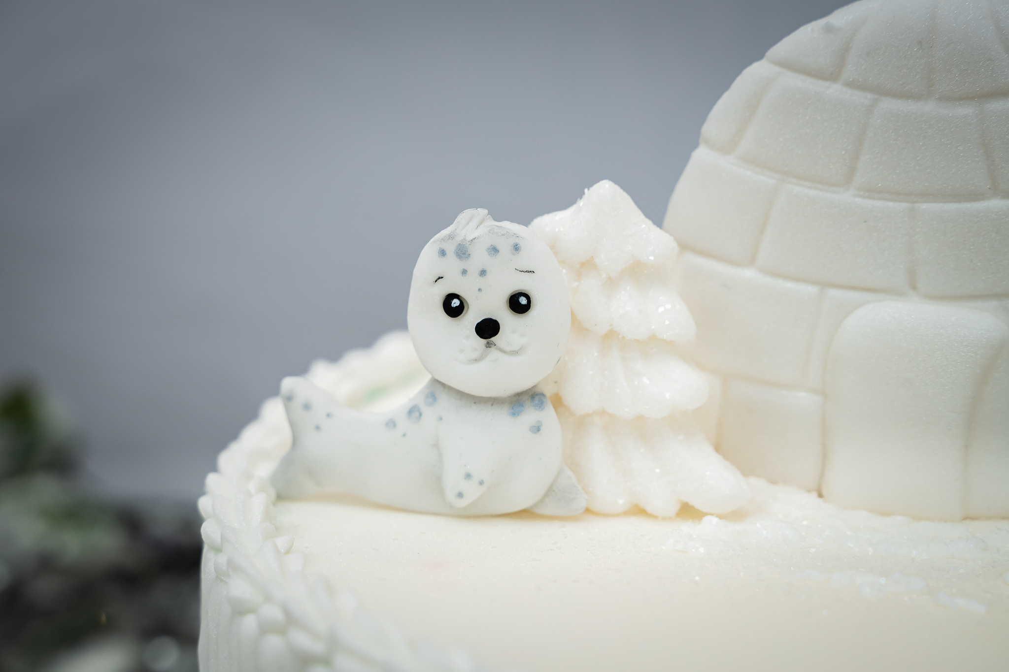 Arctic Animals Silicone Mould