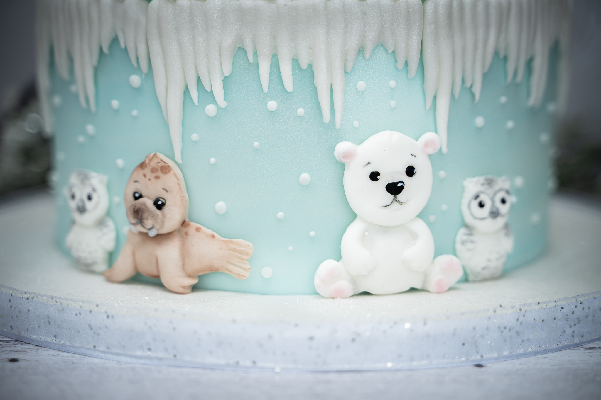 Arctic Animals Silicone Mould