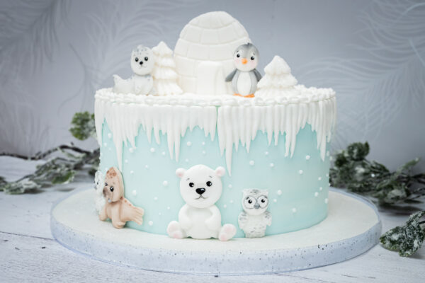 Arctic Animals Silicone Mould Arctic Animals Silicone Mould