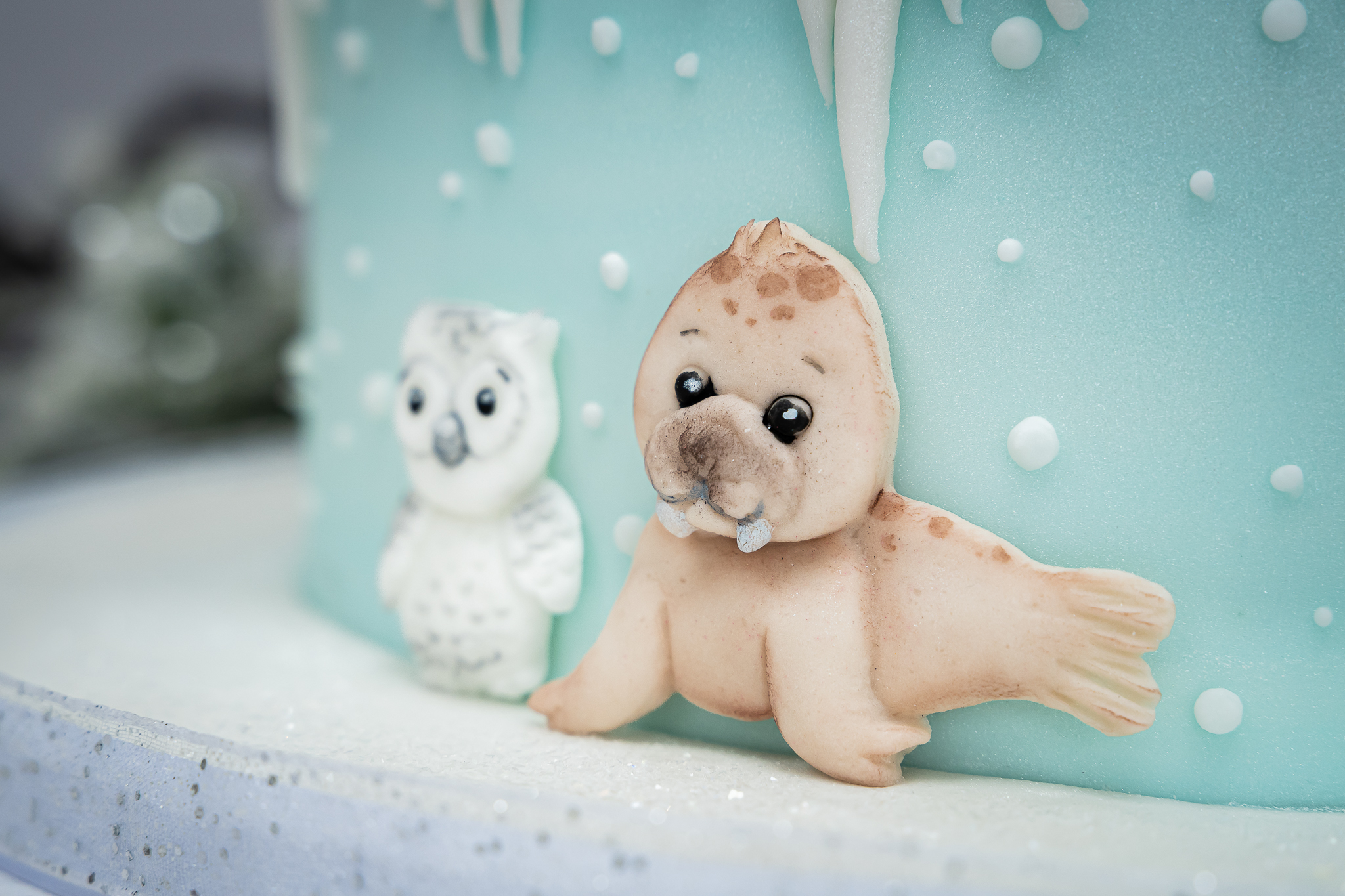 Arctic Animals Silicone Mould