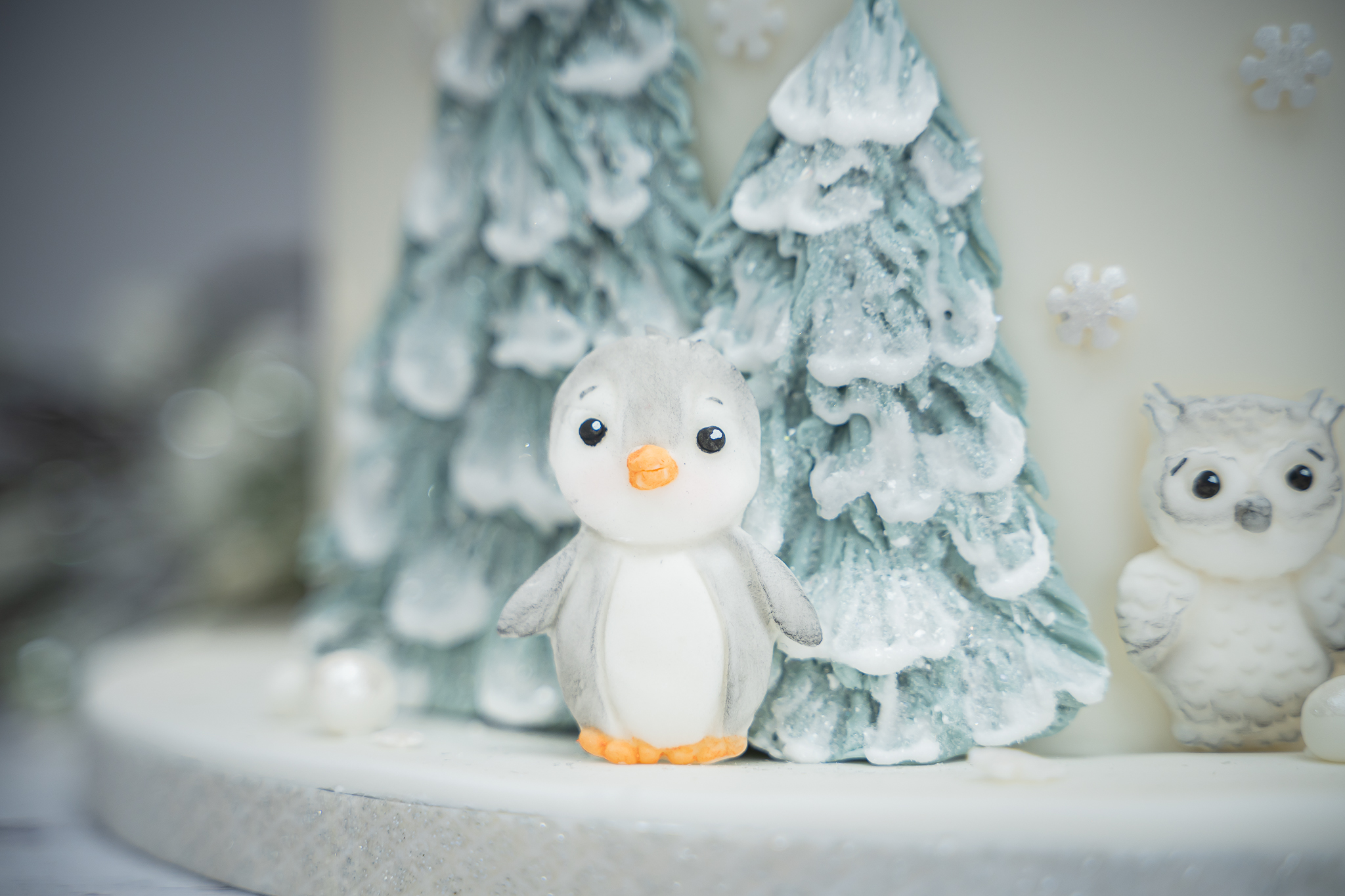 Arctic Animals Silicone Mould