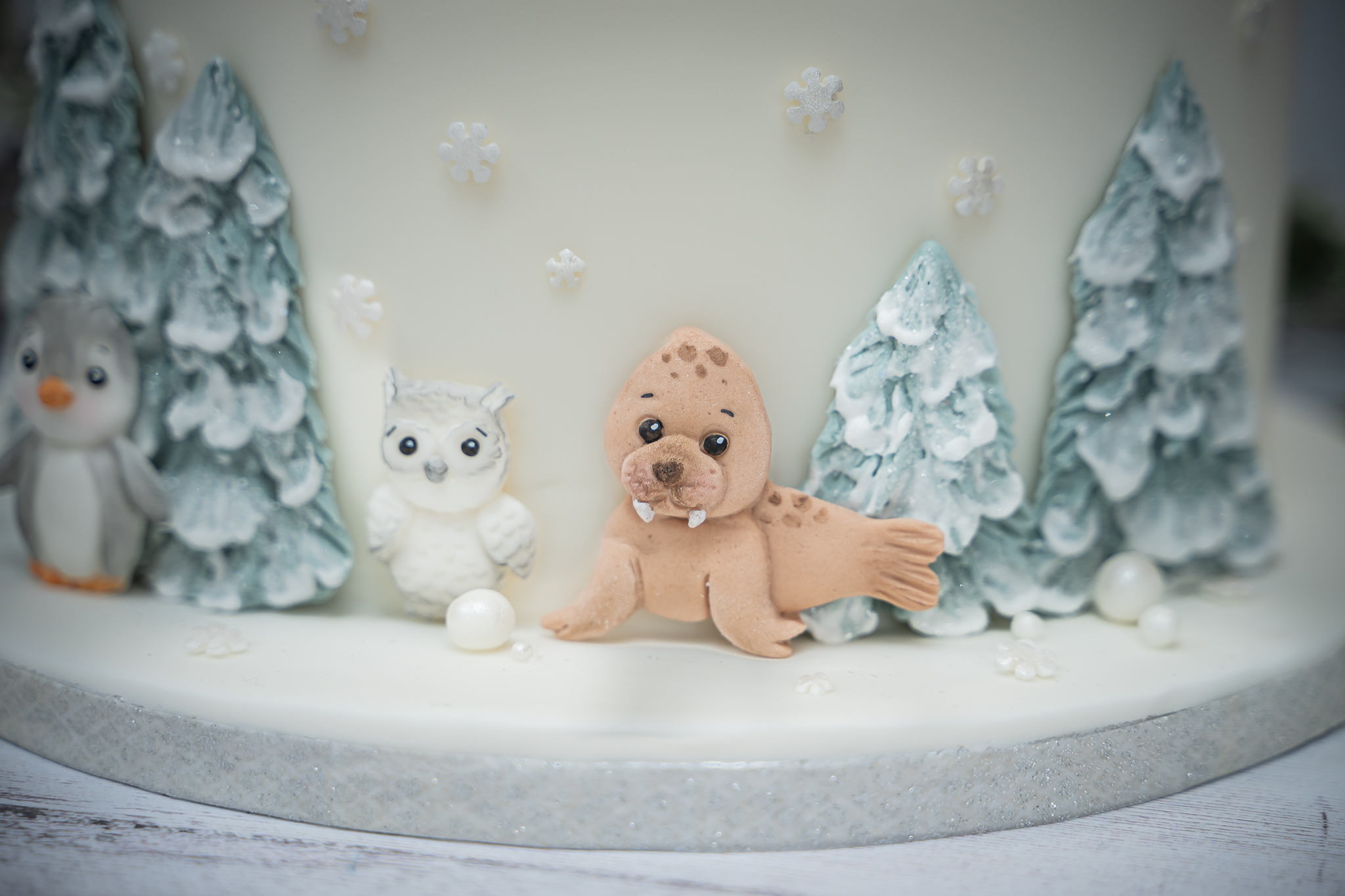 Arctic Animals Silicone Mould