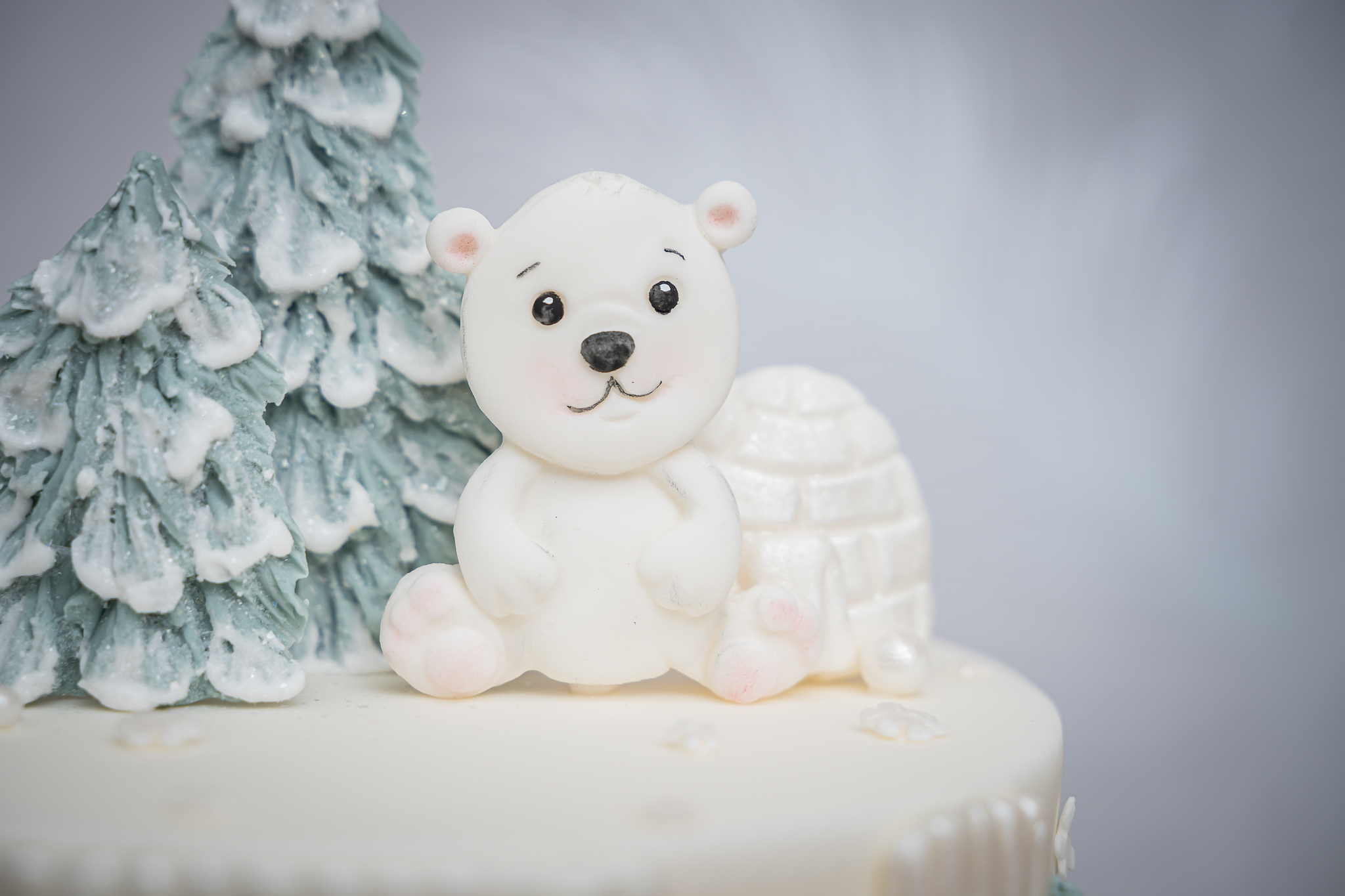 Arctic Animals Silicone Mould