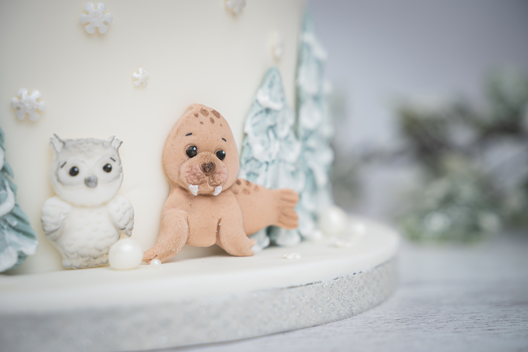 Arctic Animals Silicone Mould