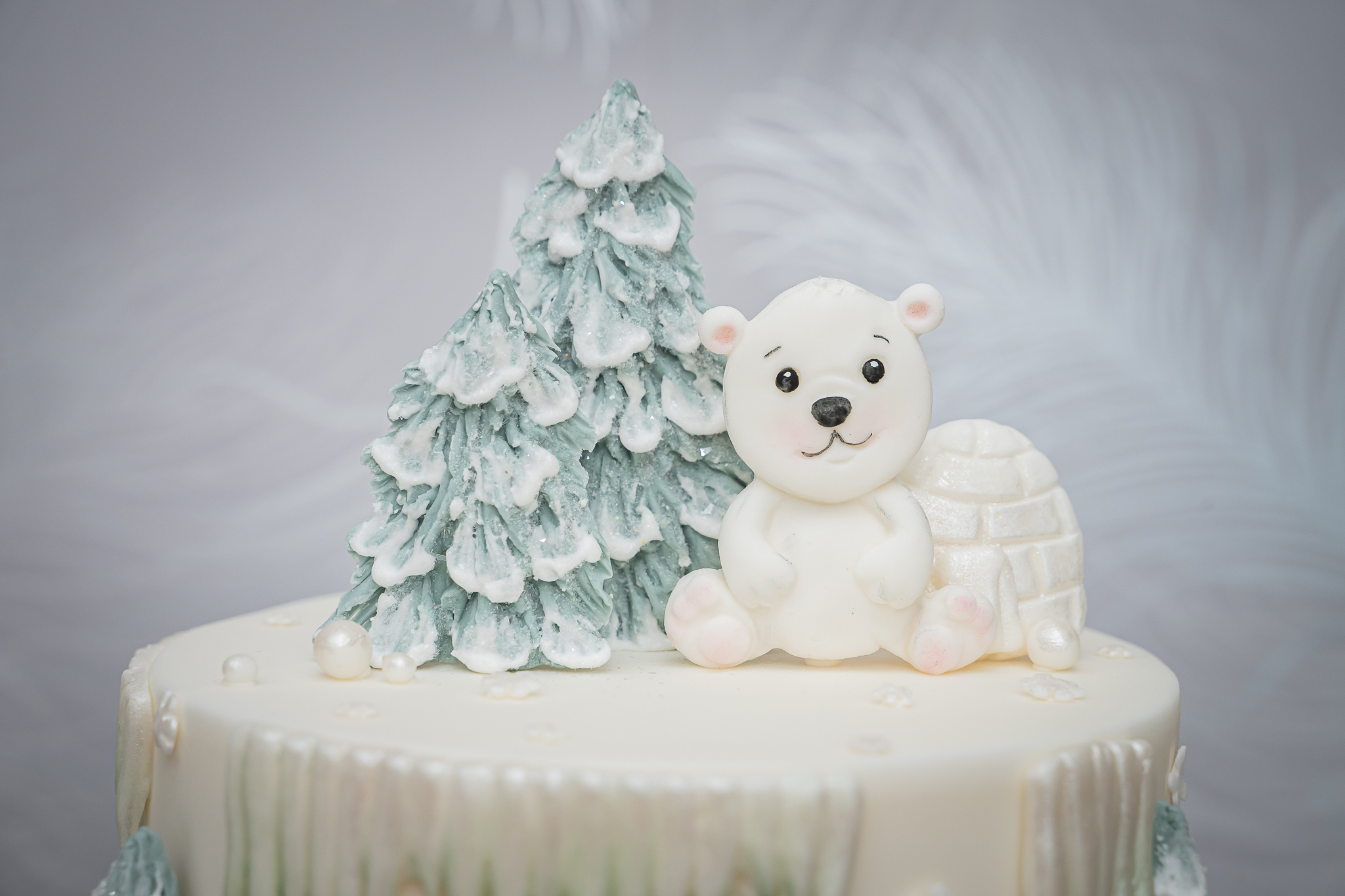 Arctic Animals Silicone Mould