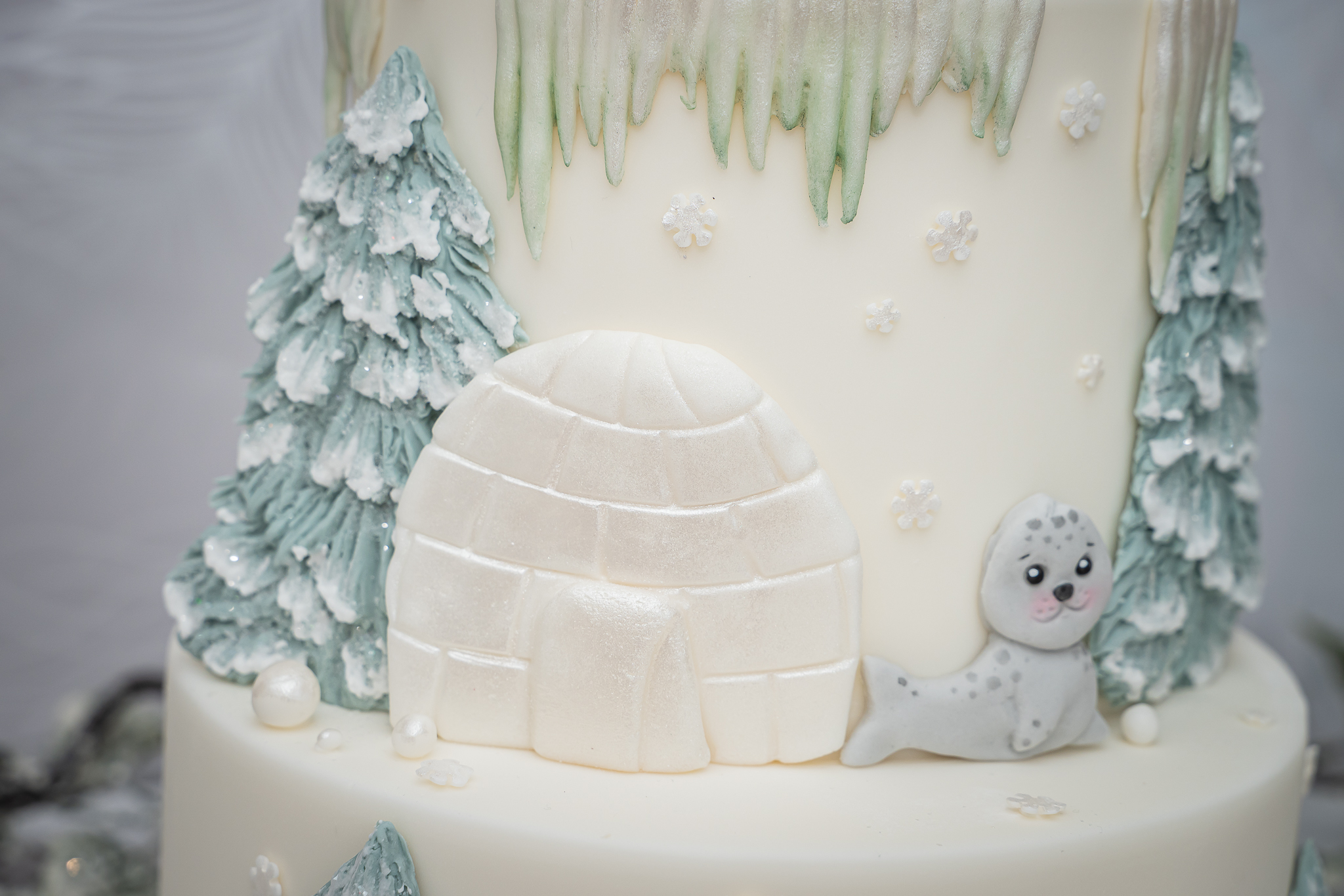 Arctic Animals Silicone Mould