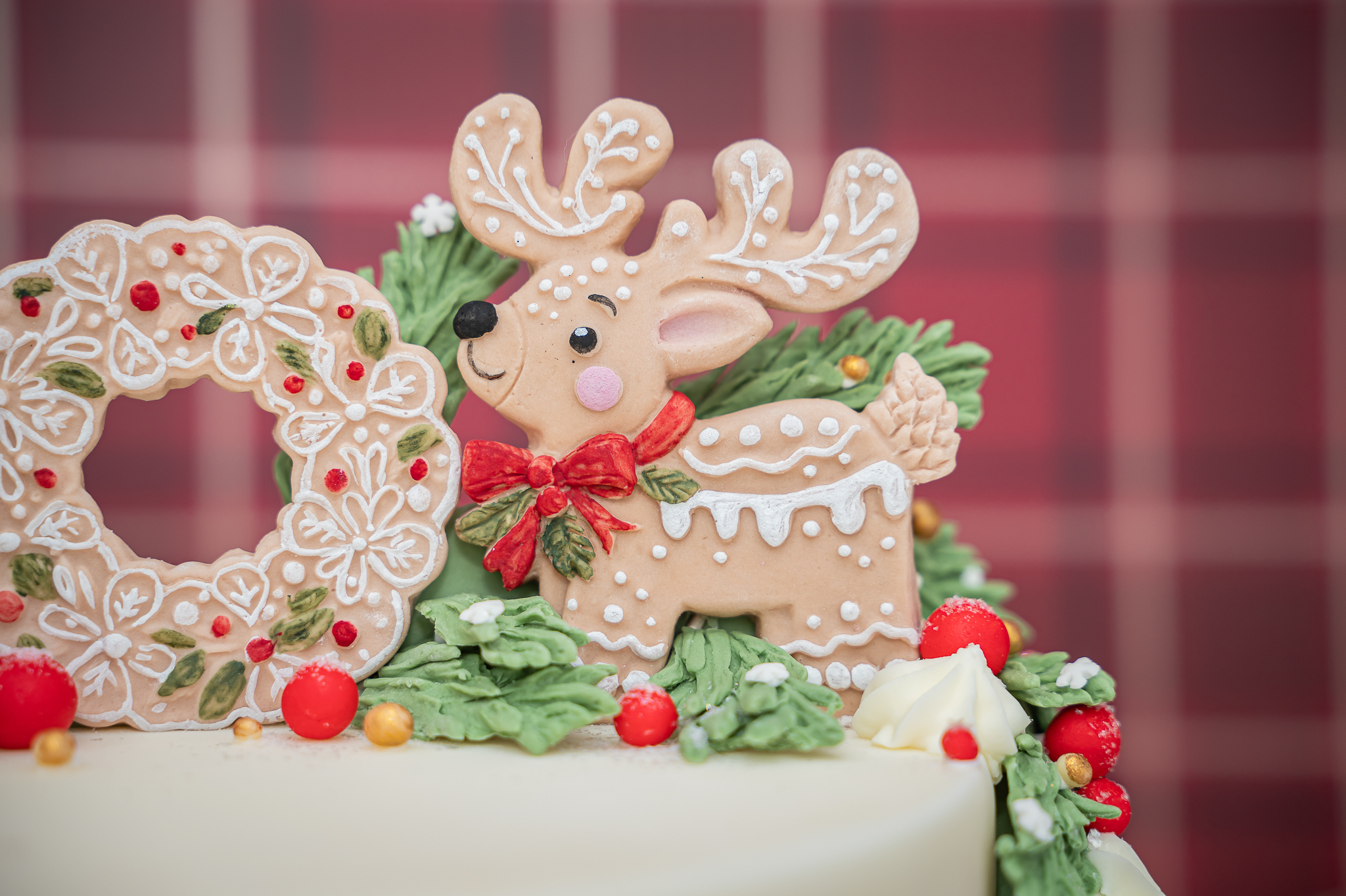 Nordic Christmas Silicone Mould