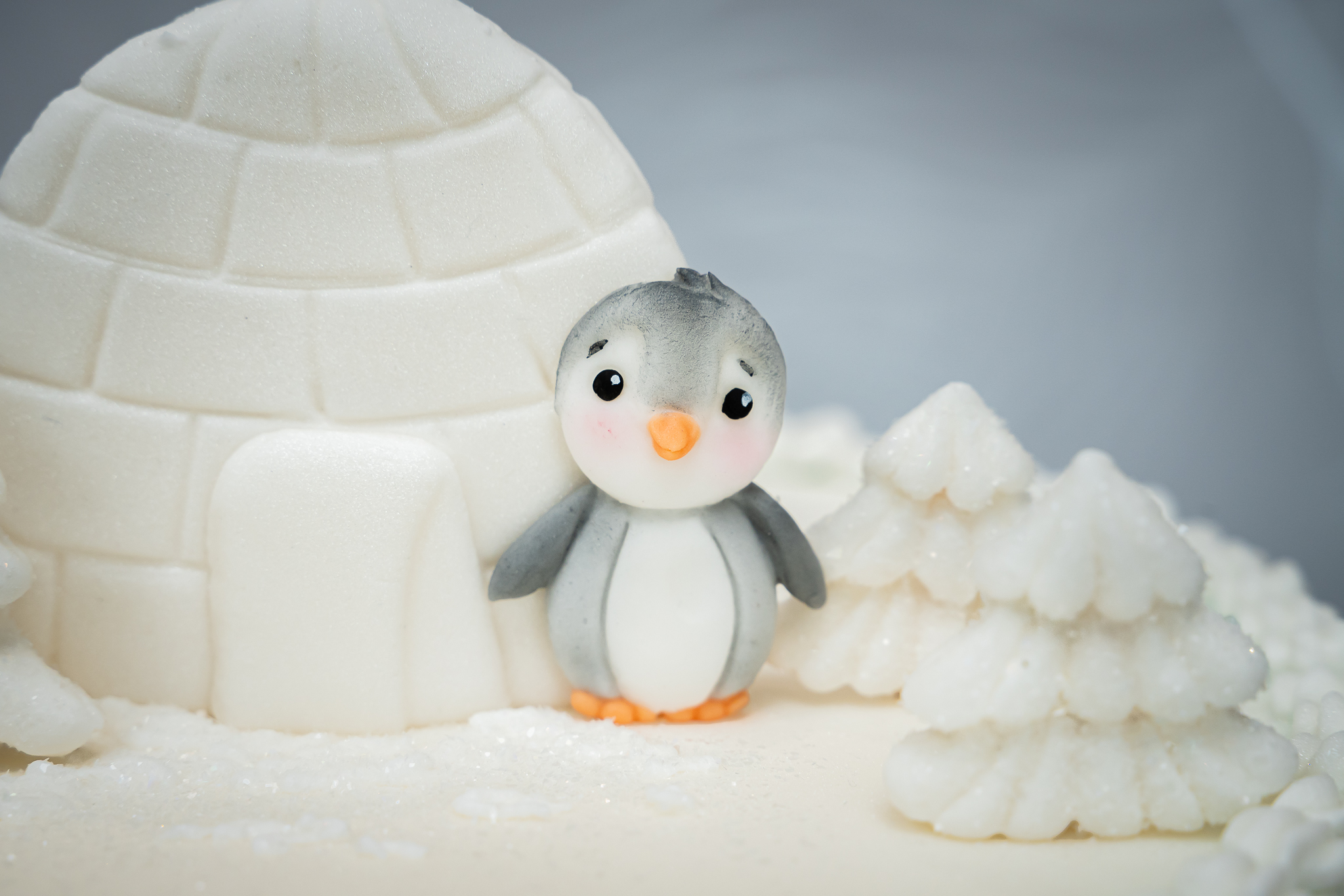 Arctic Animals Silicone Mould