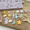 Under The Sea Silicone Mould