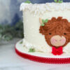 Highland Cow Silicone Mould