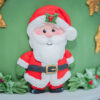 Santa Claus Silicone Mould